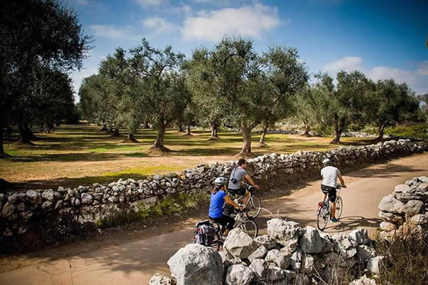 Nobile Tradizione Pugliese | Azienda Agricola ad Ostuni | Prodotti Tipici di Puglia