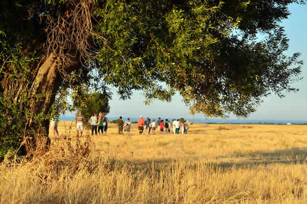 Nobile Tradizione Pugliese | Azienda Agricola ad Ostuni | Prodotti Tipici di Puglia