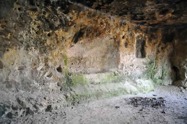 Nobile Tradizione Pugliese | Azienda Agricola ad Ostuni | Prodotti Tipici di Puglia