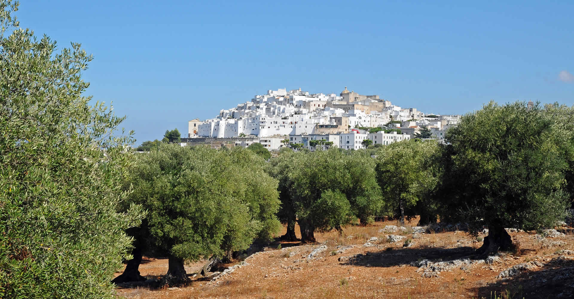 Nobile Tradizione Pugliese | Azienda Agricola ad Ostuni | Prodotti Tipici di Puglia